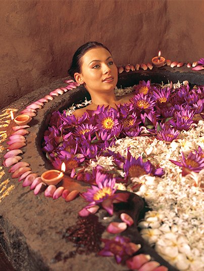 Ayurveda Wellness Tours